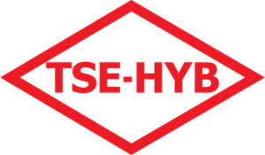 TSE-HYB Logo Vector