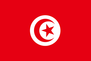 Tunisia Flag Logo PNG Vector