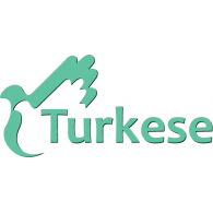 Turkese Logo PNG Vector