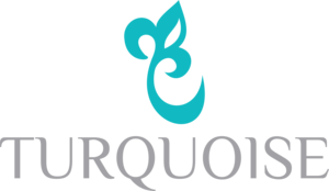Turquoise Logo PNG Vector