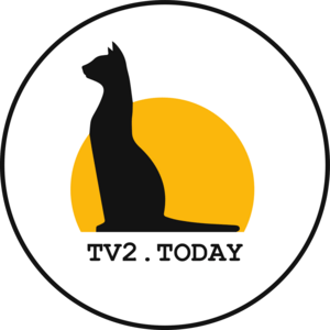 TV2 (Tomsk) Logo PNG Vector
