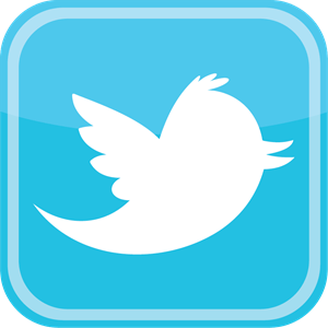Twitter bird icon Logo Vector