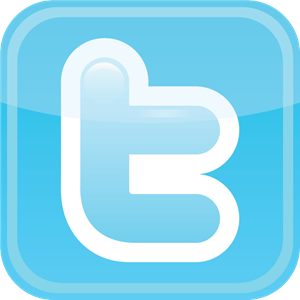 Twitter icon Logo Vector