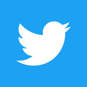 Twitter Icon Square Logo Vector