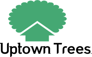 Uptown trees Logo PNG Vector