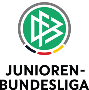 Under 19 Bundesliga Logo PNG Vector