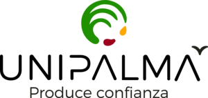 Unipalma Logo PNG Vector