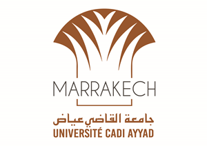 Université Cadi Ayyad - Marrakech - Maroc Logo PNG Vector