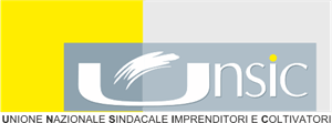 UNSIC Logo PNG Vector