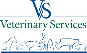 US Veterinary Service Logo Vector