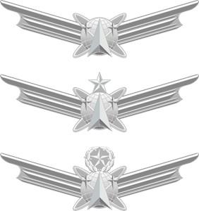 USAF Space wings Logo Vector