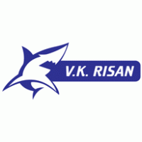 VK RISAN Logo PNG Vector