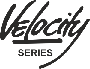 Velocity Blaupunkt Logo Vector