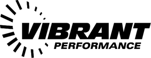 Vibrant Performance Logo Vector