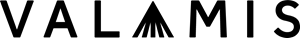 Valamis Group Logo Vector