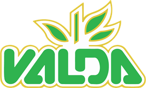 Valda Logo Vector