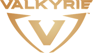 VALKYRIE Logo Vector