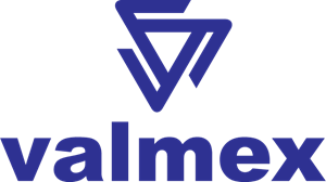 valmex Logo PNG Vector