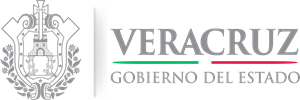 Veracruz Gobierno del Estado Logo Vector