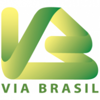 Via Brasil Logo Vector