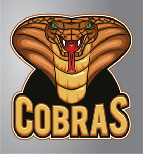 Vintage cobras Logo PNG Vector