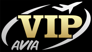 VIP Avia Logo PNG Vector