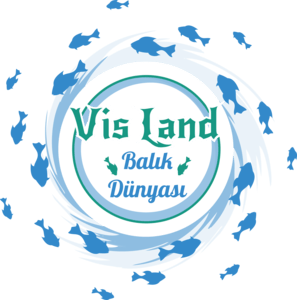 VİS LAND Logo PNG Vector