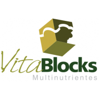Vitablocks Logo Vector