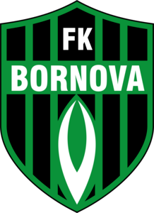 Viven Bornova FK Logo PNG Vector