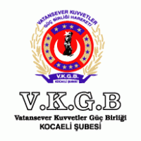 vkgb Logo PNG Vector