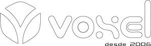 Voxel C&T Logo PNG Vector