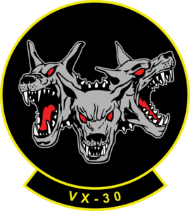 VX-30 Emblem Logo PNG Vector