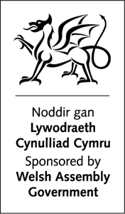 Welsh Assembly Government Logo Vector
