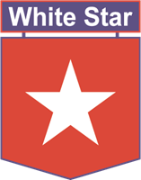 White Star Logo PNG Vector