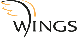 Wings Logo PNG Vector