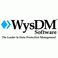 WysDM Software Logo PNG Vector