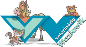 Wazlawik Logo PNG Vector