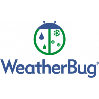 Weather Bug Logo Vector