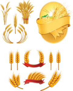 Wheat Logo PNG Vector