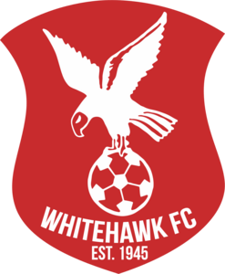 Whitehawk FC Logo PNG Vector