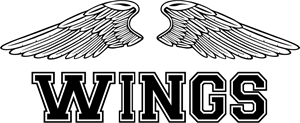 WINGS CUSTOM TEAM DESIGN Logo Vector