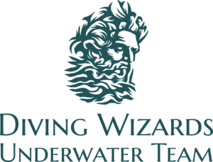 Wizard Divers Logo PNG Vector