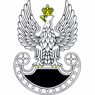 Wojska Specjalne Logo PNG Vector