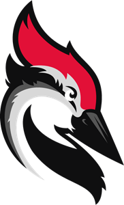 Woodpecker Logo Vector