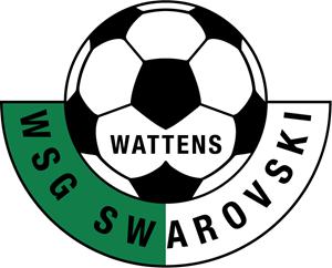 WSG Swarovski Wattens Logo PNG Vector