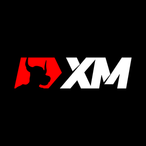 XM company Logo PNG Vector