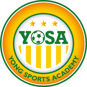 Young Sports Academy Logo PNG Vector