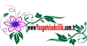 yozgat çiçek Logo PNG Vector