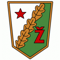 Zhalgiris Vilnus 80's Logo PNG Vector